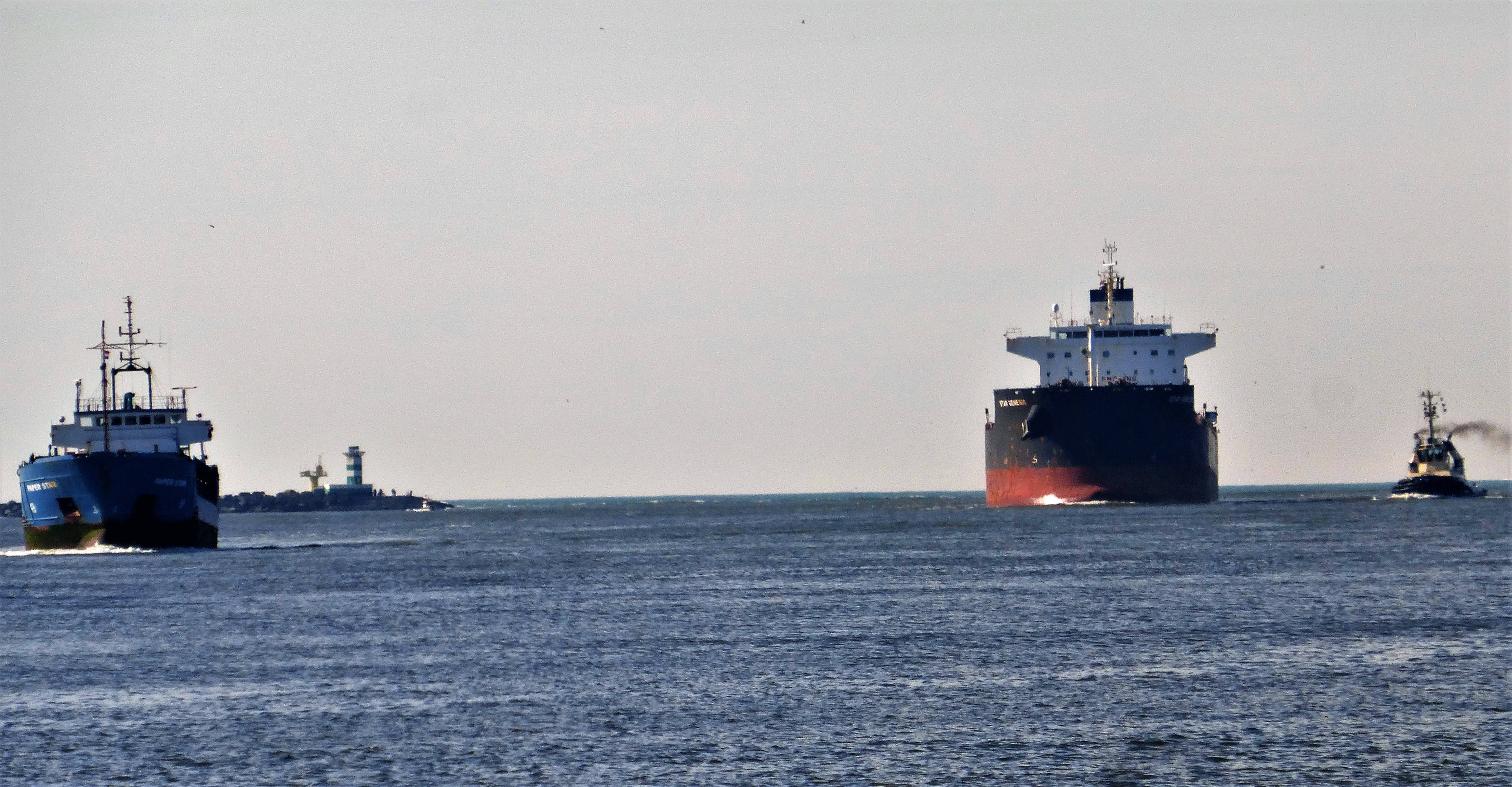 Pieren IJmuiden   28-02-22 